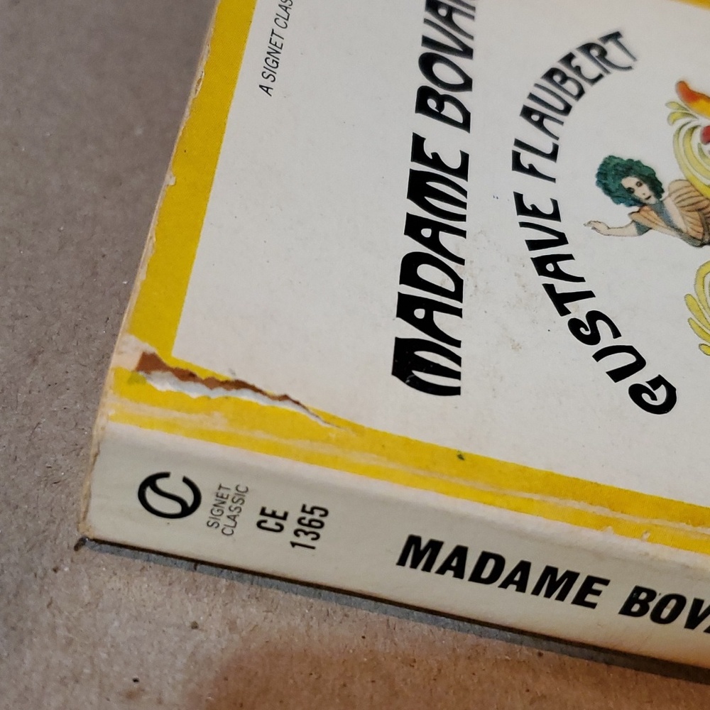 🇫🇷 Madame Bovary Gustave Flaubert paperback book - Picture 4 of 11